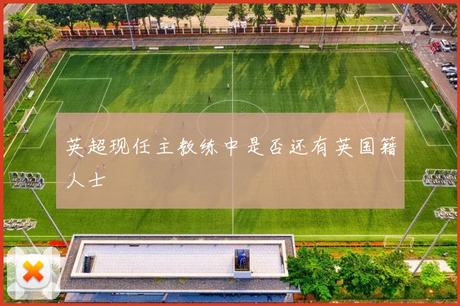 英超现任主教练中是否还有英国籍人士