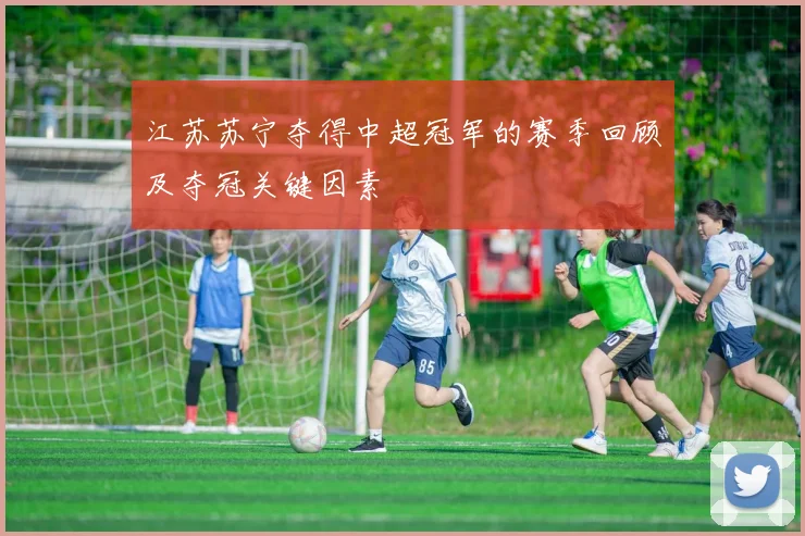 江苏苏宁夺得中超冠军的赛季回顾及夺冠关键因素